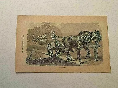 KP192) Horse Drawn Lawn Mower Grass American Agricultural Tool 1879 Engraving • $9.95