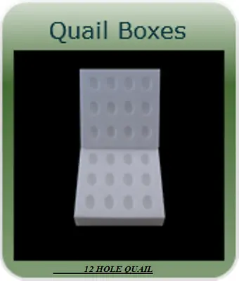 10 X 12 HOLE POLYSTYRENE EGG BOXES HATCHING/INCUBATION QUAILS 78MM THICK • £20