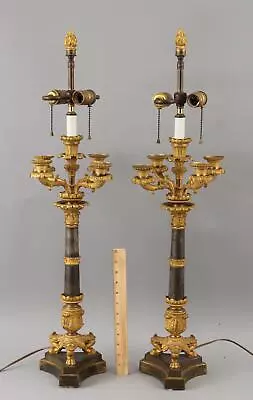 Large Pair Antique French Gold Gilt Bronze Louis XVI Style Candelabra Lamps • $385