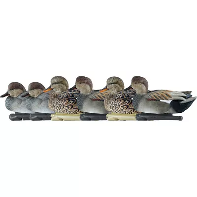 Avianx Top Flight Duck Decoys Gadwall 6 Pk. • $124.53