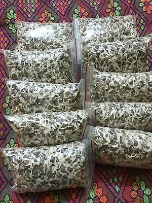 Drumstick/ Moringa/ Oleifera Govt. Approved Seeds For Plantation  - 1.00Kg • $55