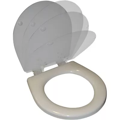 Raritan 1245Sc White Soft Close Household Toilet Seat & Cover • $60