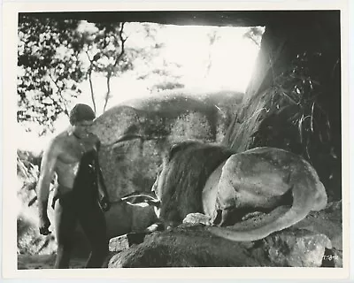 Tarzan And The Jungle Boy Vintage Photo Still 1967 Mike Henry And Lion  TJB11 • $14.95