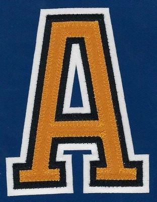 $14.99 • Buy St Louis Blues Alternate  A  Sewn Patch For Home Jersey 