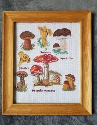 Vintage Cottagecore Mushroom Cross Stitch Sampler Framed Finished Piece 12 ×10  • £25