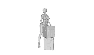 Printle P Femme 050--Sexy Hot Woman Boxes Crate Figure For Dioramas Train Sets • $10
