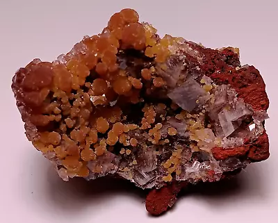 MIMETITE WITH CALCITE - El Potosi Mine Santa Eulalia Mexico • $50