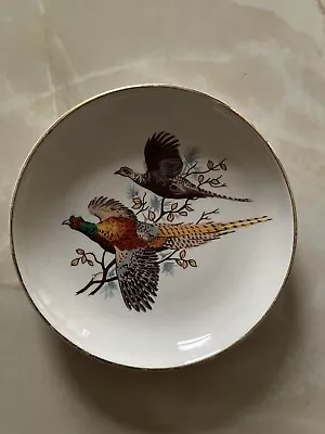 Collectible Plate Made By Myott. • £1.45