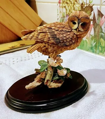 Tawny Owl With Red Admiral Butterfly & Dog Rose-country Artists-Hand Painted • £29