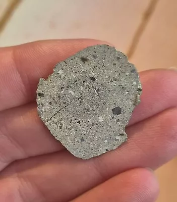NWA XXXX Howardite 1.93g Meteorite Slice Northwest Africa (Unclassified) • £14.99