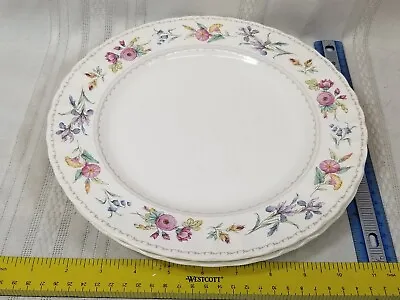 2 Mikasa Brywood Dinner Plates • $46.43