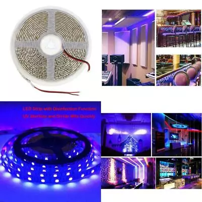 DC12V 24V UV Purple LED Strip For Camp Fishing Boat Show Ultraviolet Black Light • £1.62