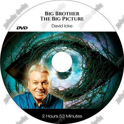 Big Brother: The Big Picture - David Icke [DVD - 2h 53m] • £5.95