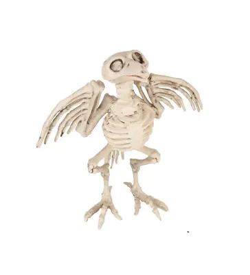 Halloween Animal Skeleton Prop Party Decoration Crow Vulture Bird Of Prey 23cm • £15.99