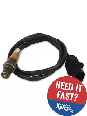 Innovate Motorsports Oxygen Sensor Wide Band O2 Sensor Lsu4.9 3888 • $182.10