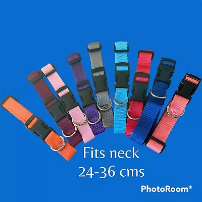 Cat Dog Puppy Collar Nylon Adjustable Collar  9 Colours 24-36cm Neck.UK • £2.90