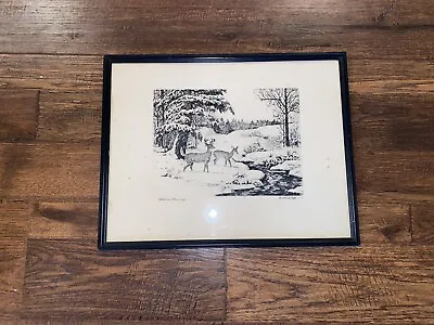 Antique Print Of Deer In Woods Neat Stream By F. McCaleb • $35