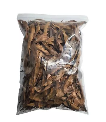 1 Gallon Organic Leaf Litter Willow Oak Leaves Pet Reptile Terrarium Isopod Frog • $9