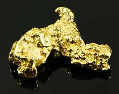 $2346.72 • Buy #550 Large Alaskan BC Gold Nugget 23.48 Grams Genuine