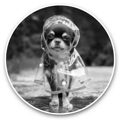 £3.99 • Buy 2 X Vinyl Stickers 10cm (bw) - Chihuahua Raincoat Puppy Dog  #36924