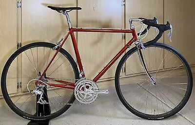 FRESH BUILD 1985 Nishiki International Lugged Steel Campagnolo 55cm Mavic Wheels • $949