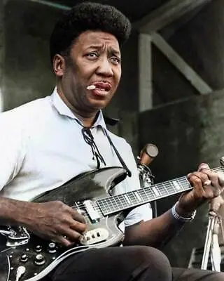 Muddy Waters 8x10 RARE COLOR Photo 601 • $20