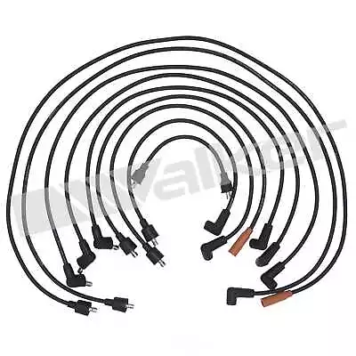 Spark Plug Wire Set-GAS Walker Products 924-1530 • $36.95