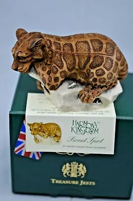 Harmony Kingdom Sweet Spot - Leopard (19) • £25