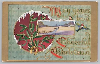Holiday~Mistletoe & Birds May Yours Be Cheerful Christmas~Vintage Postcard • $2.80