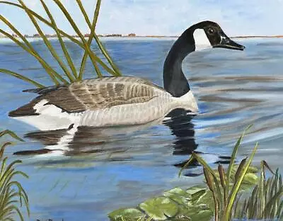 Vintage Oil Painting American Lake Landscape Canadian Goose Bird Signed D Bock • $63.75