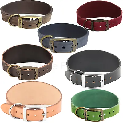£7.45 • Buy Ancol Greyhound Wippet Lurcher Leather Dog Collar - Tan, Sable, Blue Or Black
