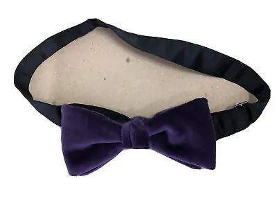 Robert Talbott Purple Velvet Bow Tie  • $34.99