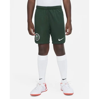 £14.99 • Buy Nike Nigeria 2022/23 Stadium Home/Away Older Kids Football Shorts Green