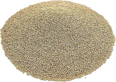 DelightFood Premium Quality White Proso Millet Bird Seed Feed • $24.99