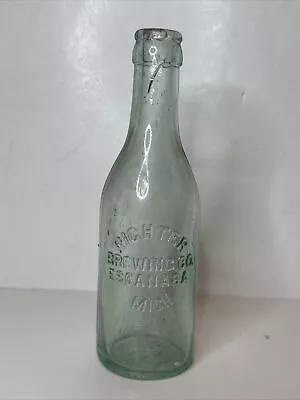 Crown Top Soda Pop Beer Bottle Richter Brewing Co ESCANABA MICHIGAN MICH MI • $5.99