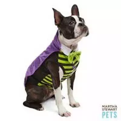 Martha Stewart Pets Vampire Dog Costume X-Small XS Halloween • $12.99