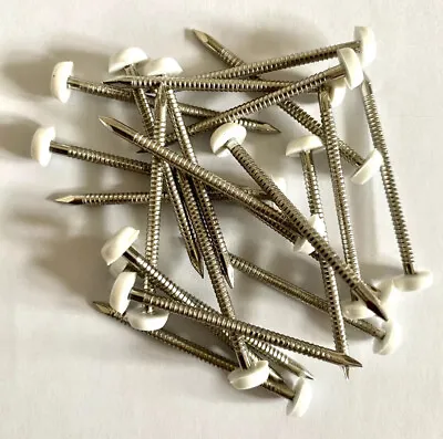 £3.39 • Buy 50 X 40mm White UPVC Plastic Headed Pins Nails Poly Top A4 Stainless Steel