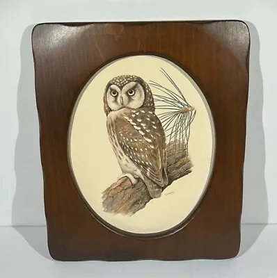 Vintage Barred Owl Painting Wood Frame Nature Wall Art Artisan Signed RA Vowles • $25