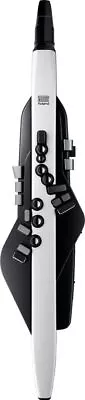 ROLAND Aerophone AE-20 AE20 Digital Wind Instrument Synthesizer • $1125.08