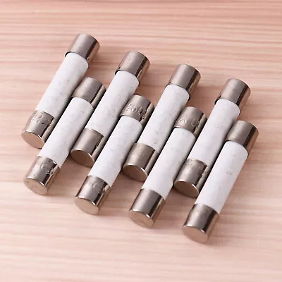 20Pcs 20 Amp Microwave Ceramic Tube Slow Blow Fuses 250V Universal_Compatible • £4.59