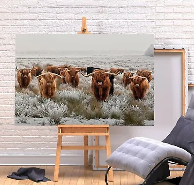 £29.74 • Buy Herd Highland Cows 1 - Deep Framed Canvas Wall Art Picture Print- Brown Grey