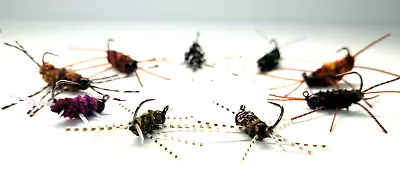 3 Tungsten Bead Girdle Bugs - Pat's Rubber Legs - Stone Fly - Choose Color/ Size • $5.79