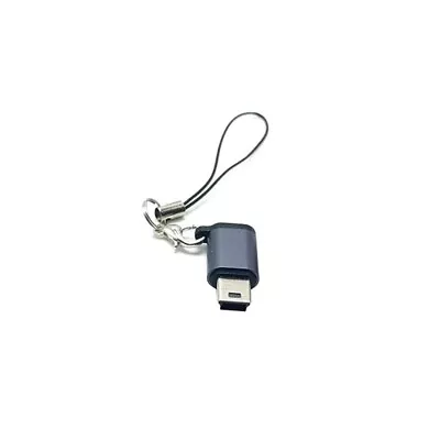Portable Converter USB C To Mini USB Conversion Adapter With Anti-lost Lanyards • $6.51