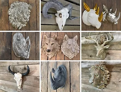 Wall Mounted Animal Heads Wolf Rhino Stag Ram Skull Garden Indoor Ornament Décor • £17.99