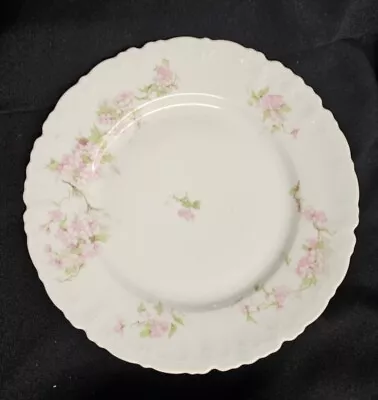 2 Vintage Habsburg China AUSTRIA 7  Dessert/Pie Plates HAB9322 1 Has Small Chip • $20