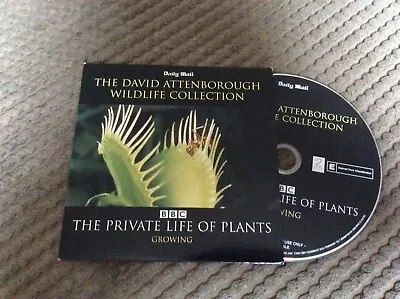 David Attenborough The Private Life Of Plants Growing   Dvd Mail Promo • £0.99