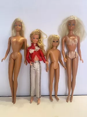 Vtg Barbie Lot Sun Lovin Malibu Western Skipper • $19.99