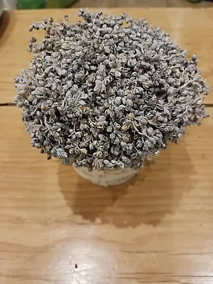 Dried Lavender In A Pot Dunelm • £1.99