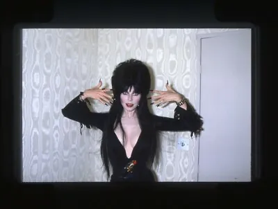 Elvira Cassandra Peterson Busty Vampish Pin Up Original 35mm Tranparency  • $29.99