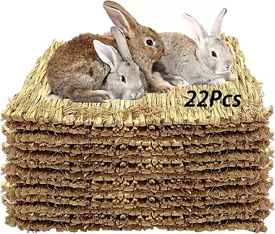 Tfwadmx 22 Pcs Seagrass Pet Bed Mat For Rabbit 11 X 8.3 In • $44.87